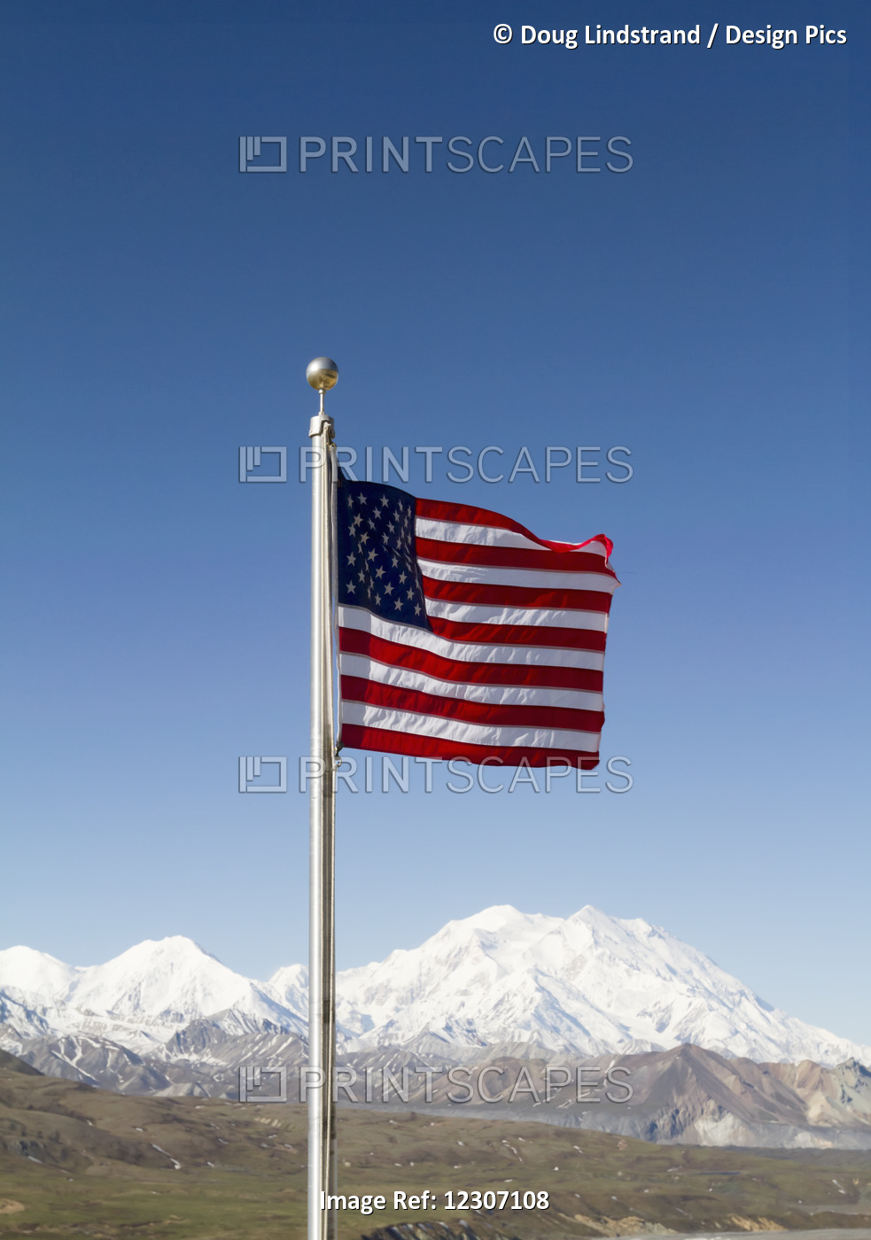 American Flag In Denali National Park With Denali In The Background, Interior ...