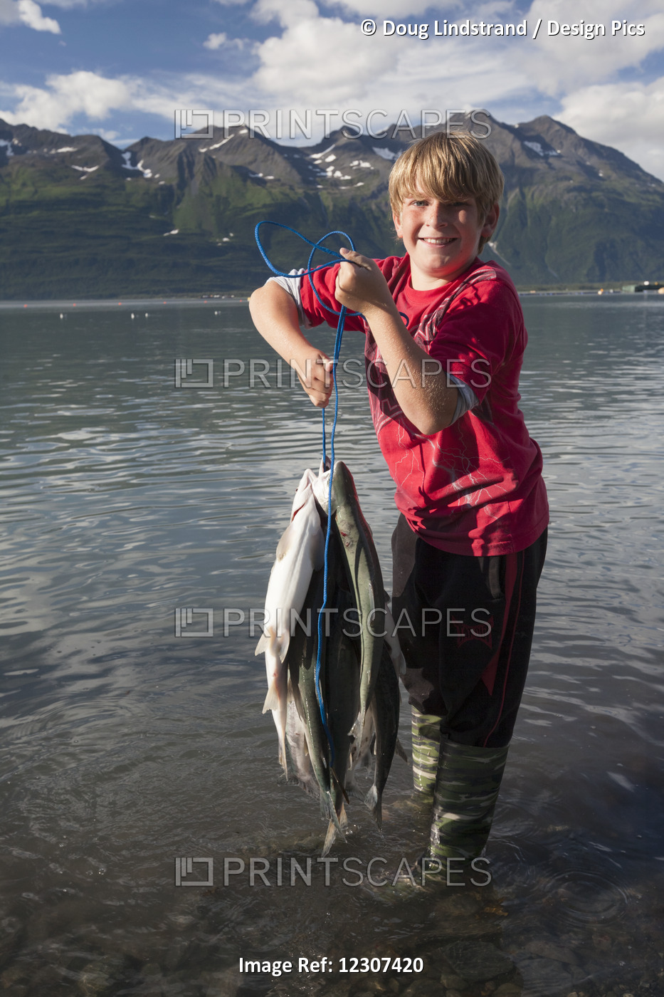 Young Boy Holds Up A Stringer Of Pink Salmon Caught From The Ocean Near Valdez, ...