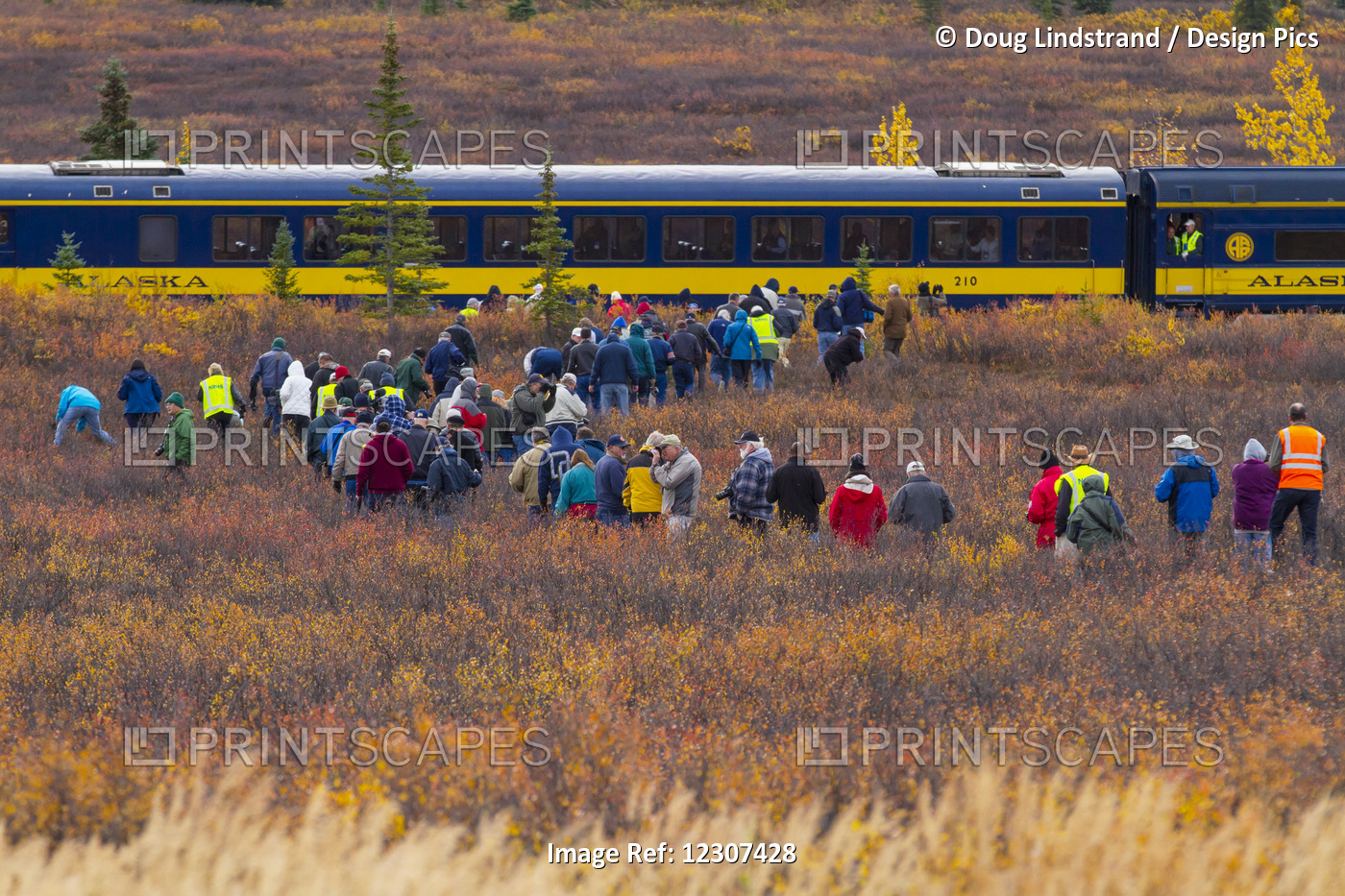A Group Of Passengers Leave A Tour Bus From The Parks Highway, South Of ...
