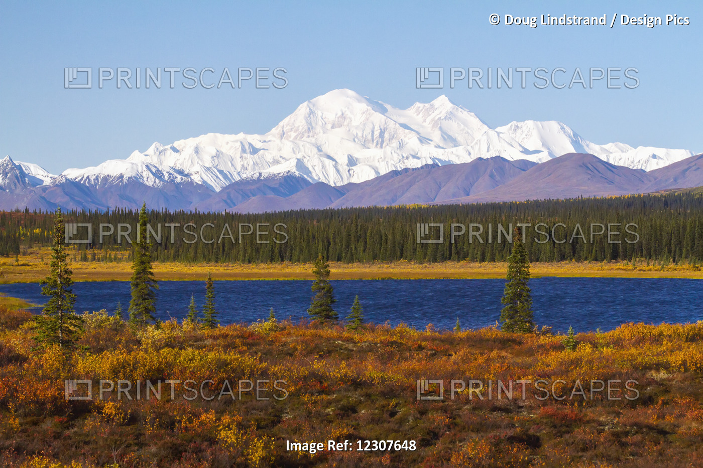 View Of Denali From The Parks Hwy. South Of Cantwell, Alaska. September. ...