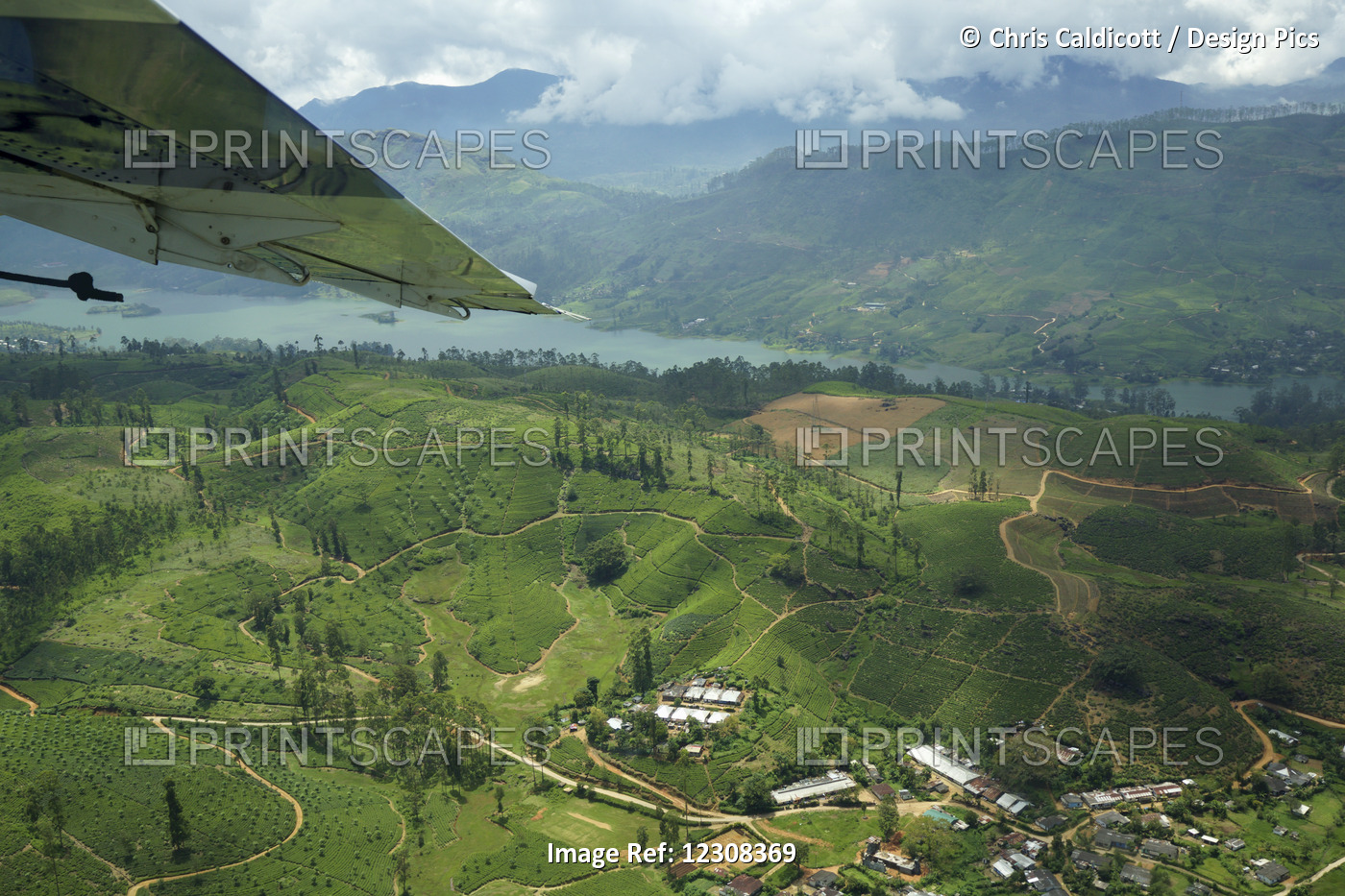 Aerial View Of Hills, Tea Plantations And Lake