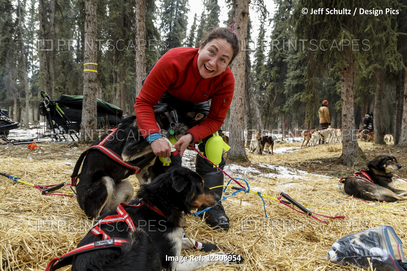 Musher Sarah Stokey Boots Her Dogs As She Prepares To Leave The Rohn Checkpoint ...