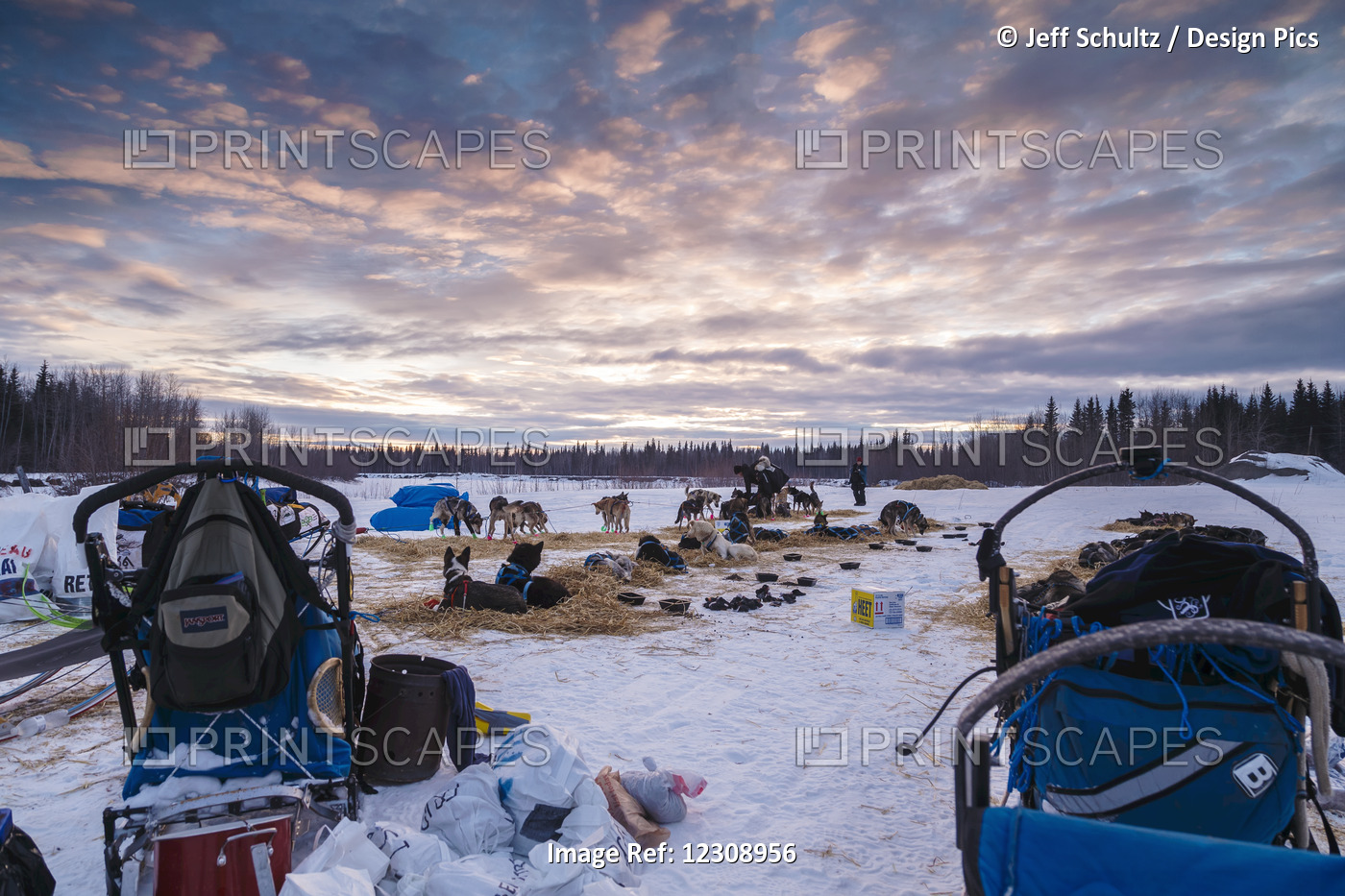 Teams Rest At Sunset At The Nikolai Checkpoint During Iditarod 2016, Alaska.