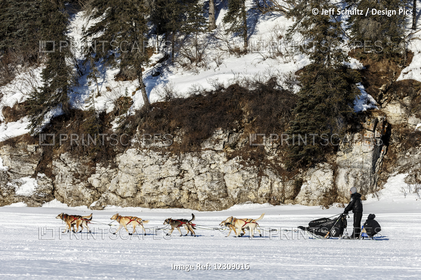 Dallas Seavey Leaving The White Mountain Checkpoint During The 2016 Iditarod, ...