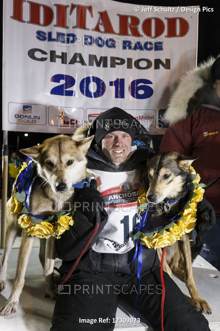 Iditarod 2016 Champion, Dallas Seavey, Poses With His Lead Dogs At The Finish ...