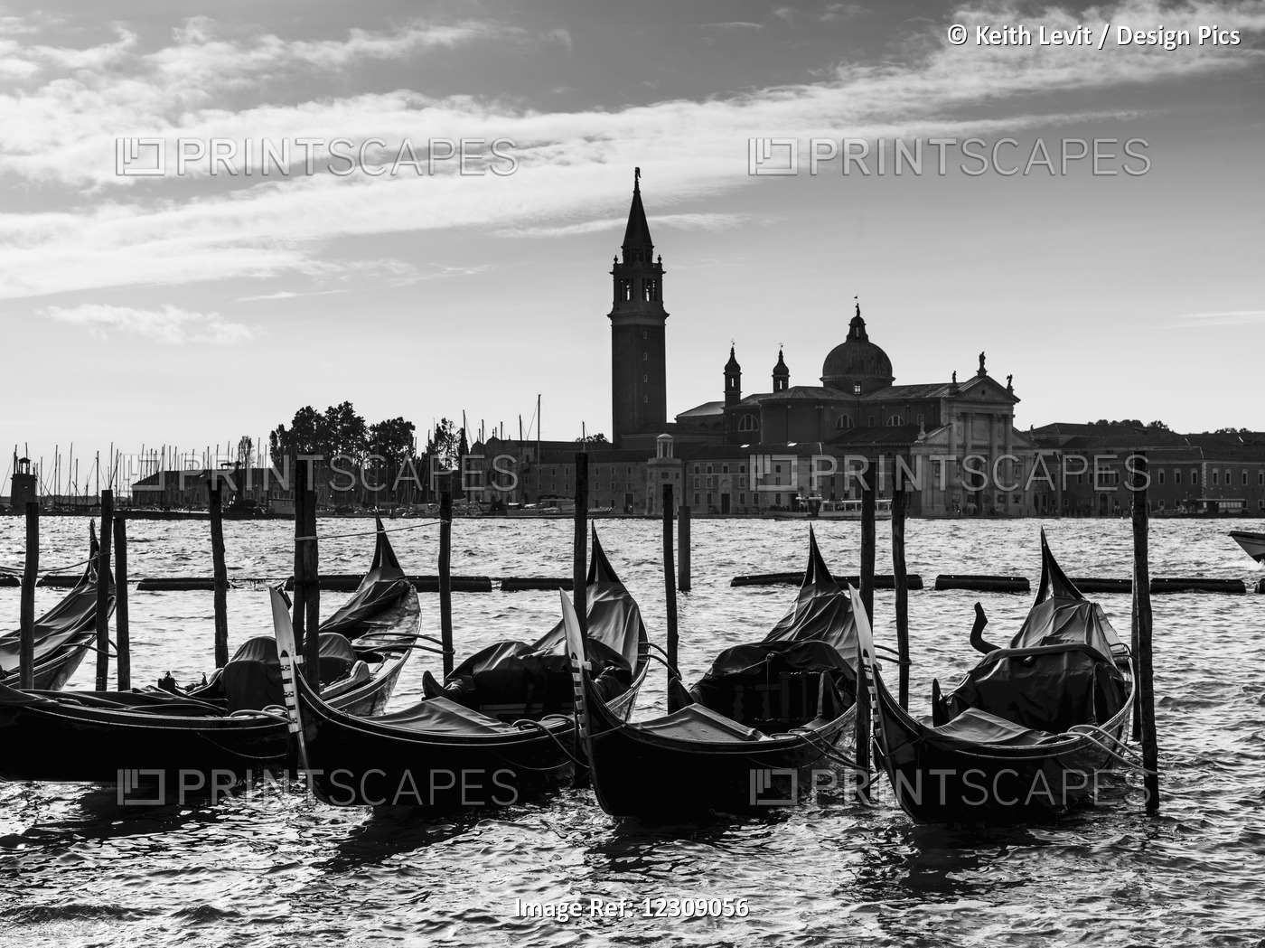 Gondolas Moored In A Row In The Water With Piazza San Marco In The Distance; ...