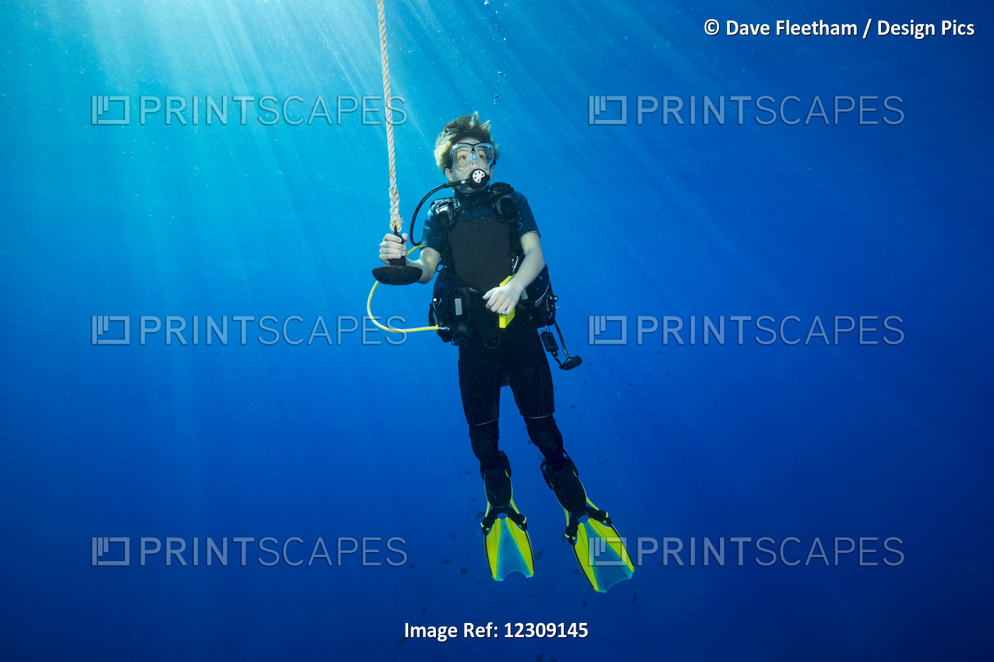 A Diver Hanging On A Line At 15 Feet For A Decompression Stop Before Surfacing; ...