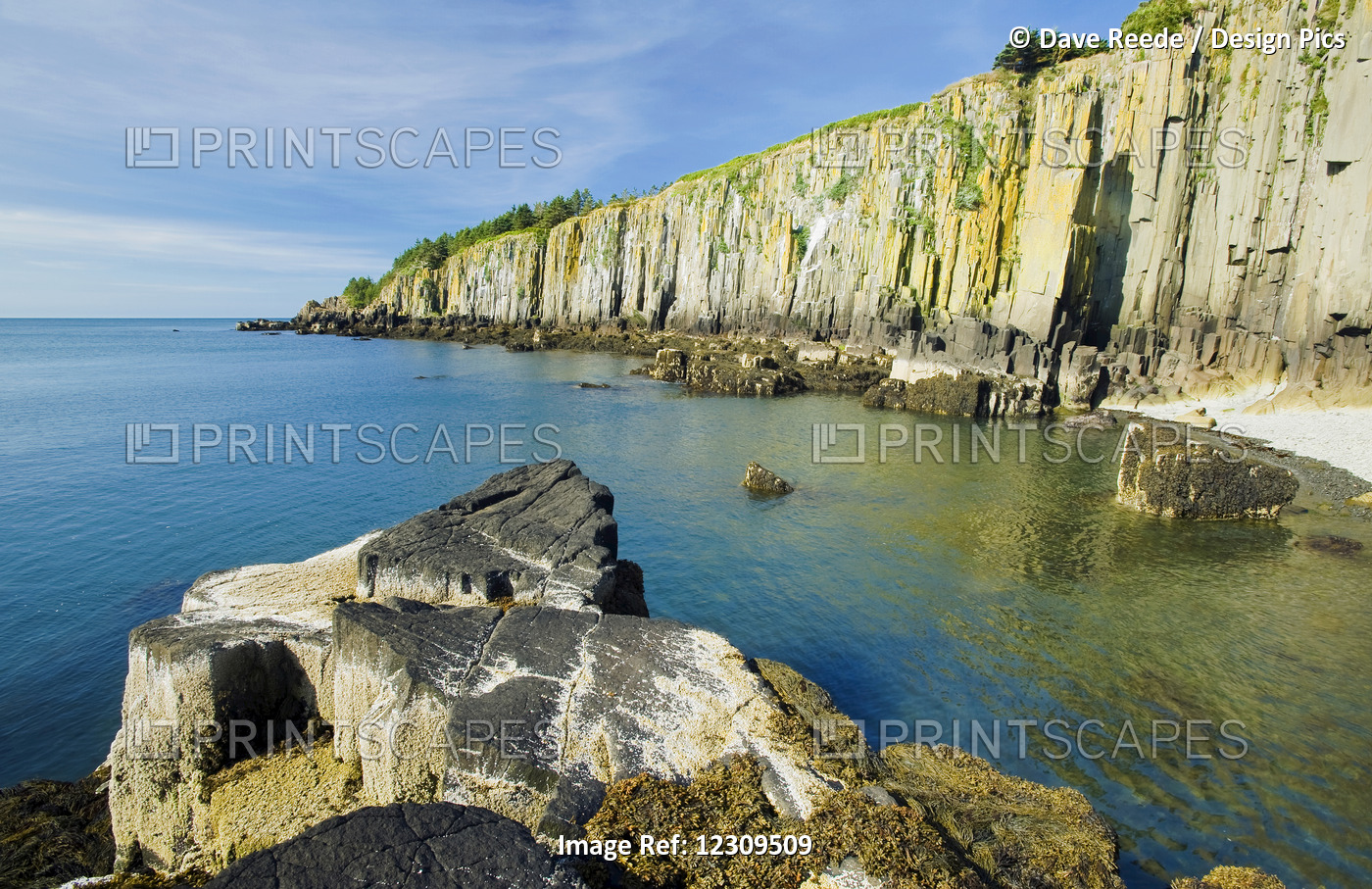 Basalt Rock Cliffs, Bay Of Fundy; Brier Island, Nova Scotia, Canada