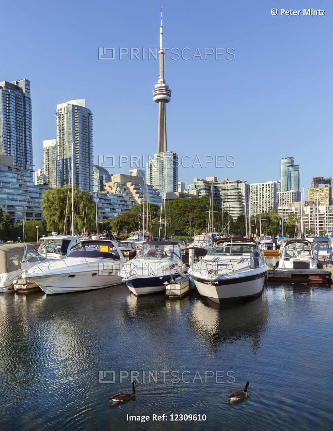 Toronto Harbourfront Marina; Toronto, Ontario, Canada