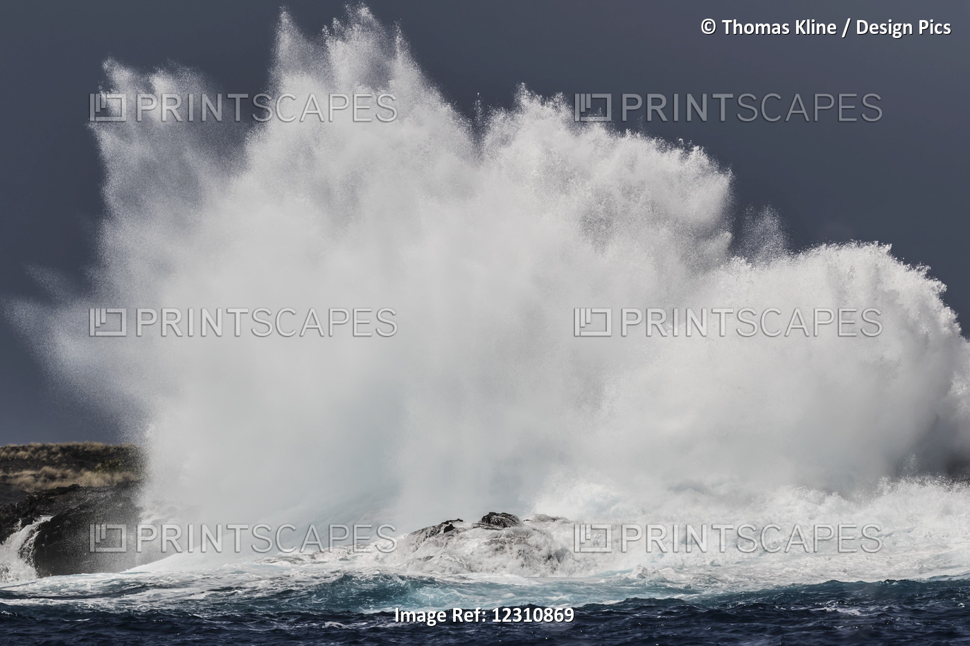 Swell Induced Wave Crashing On The Kona Coast; Kona, Island Of Hawaii, Hawaii, ...