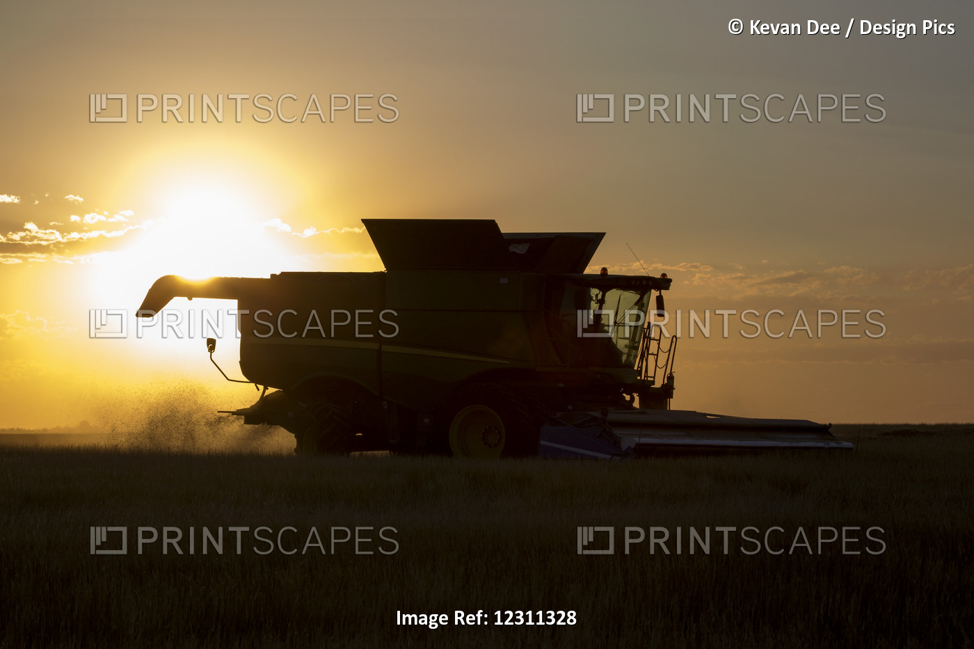 Combine Cuts Wheat In Northeast Colorado; Paoli, Colorado, United States Of ...