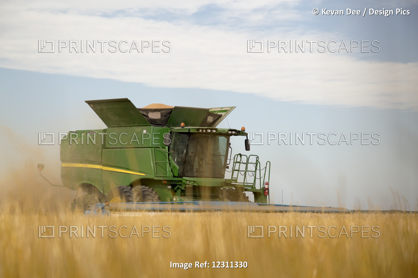 Combine Cuts Wheat In Northeast Colorado; Paoli, Colorado, United States Of ...