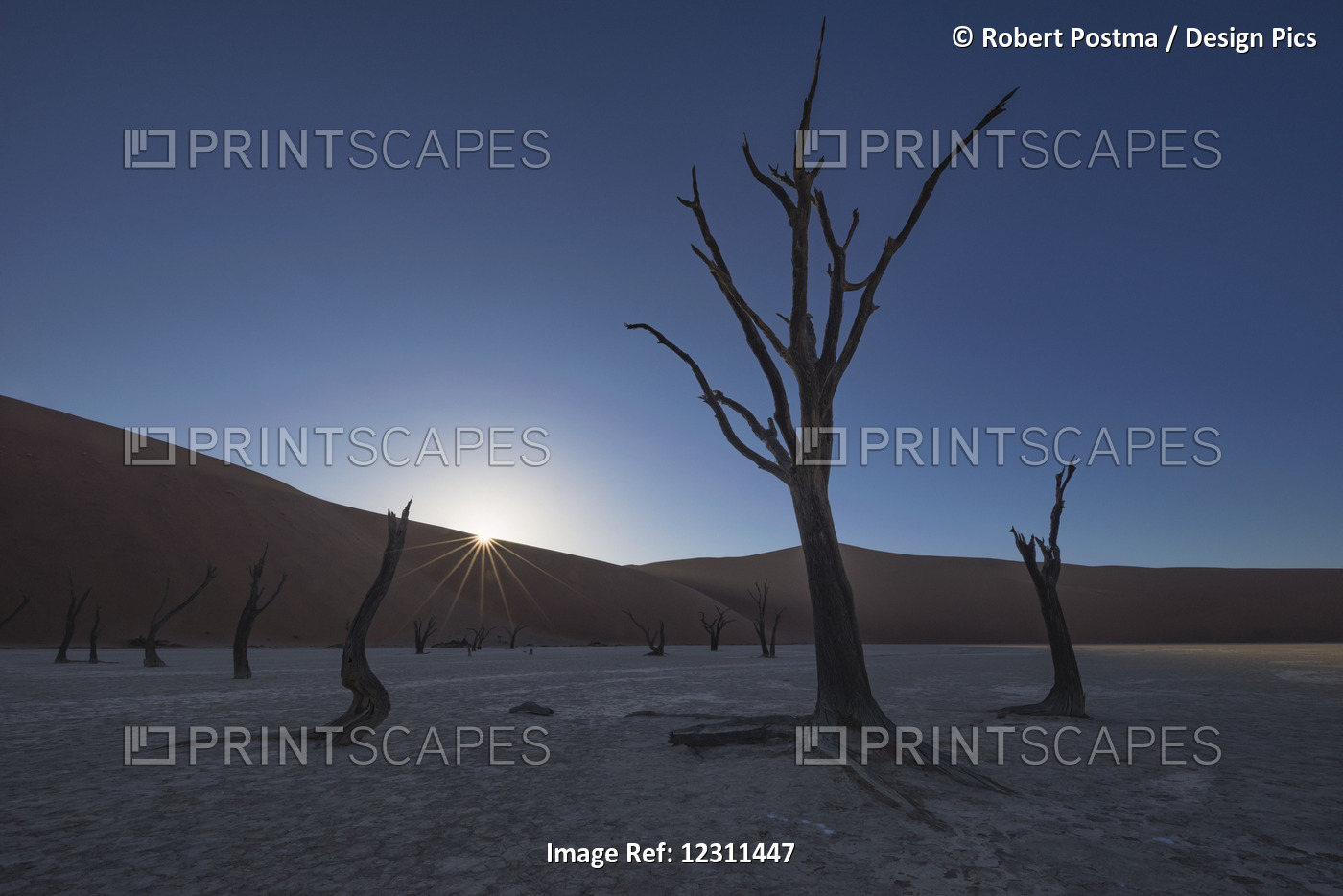 Sunrise Over The Deadvlei, Deep Within Sossusvlei; Namibia