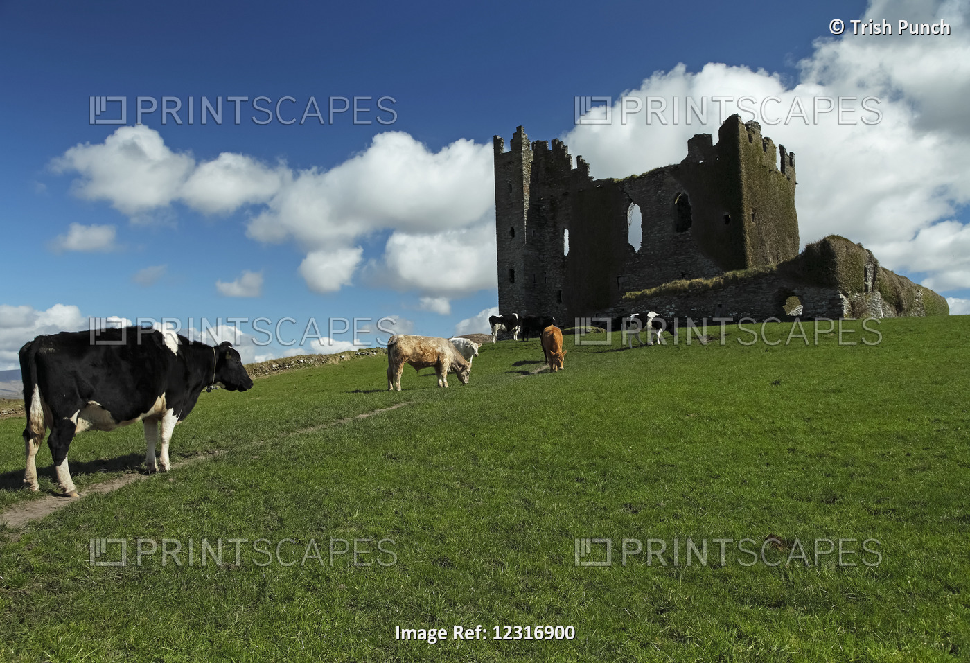 Ballycarbery Castle Ruins Near Cahirciveen; County Kerry, Ireland