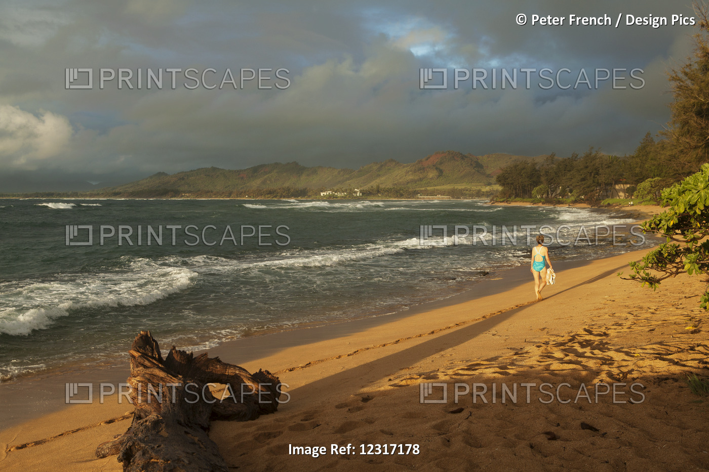 Early Morning Walk, Waipouli Beach; Wailua, Kauai, Hawaii, United States Of ...