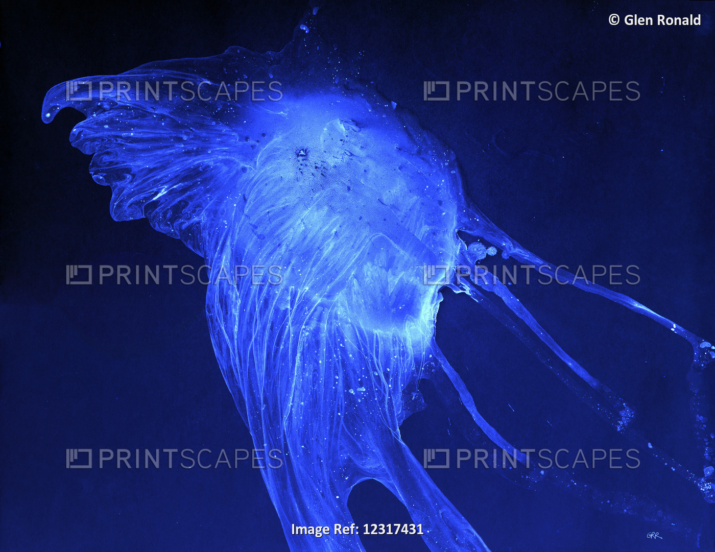Blue Jellyfish, Color Artwork