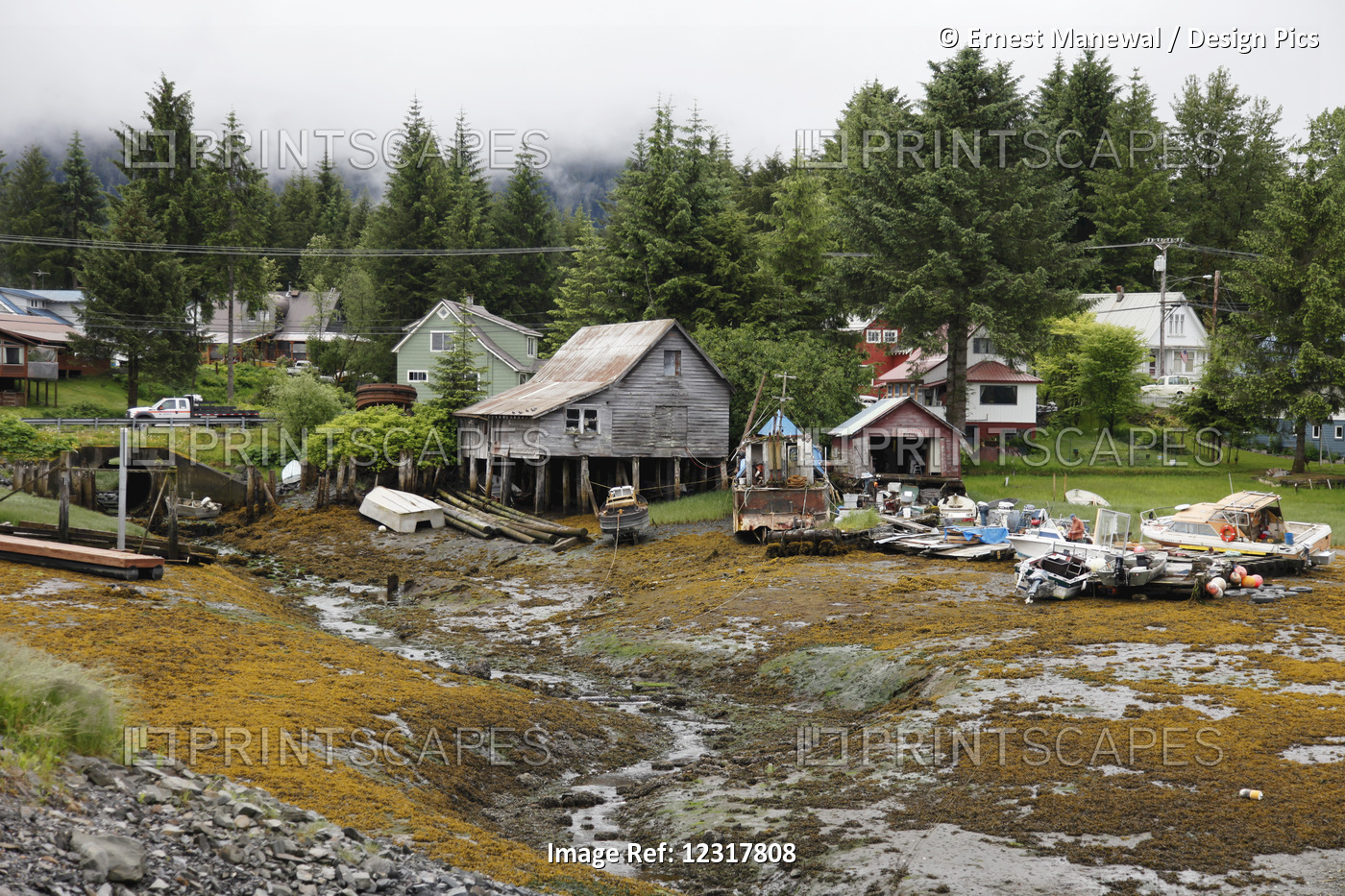 View Of Homes Along The Coast At Pelican, Chichagof Island, Southeast Alaska, ...