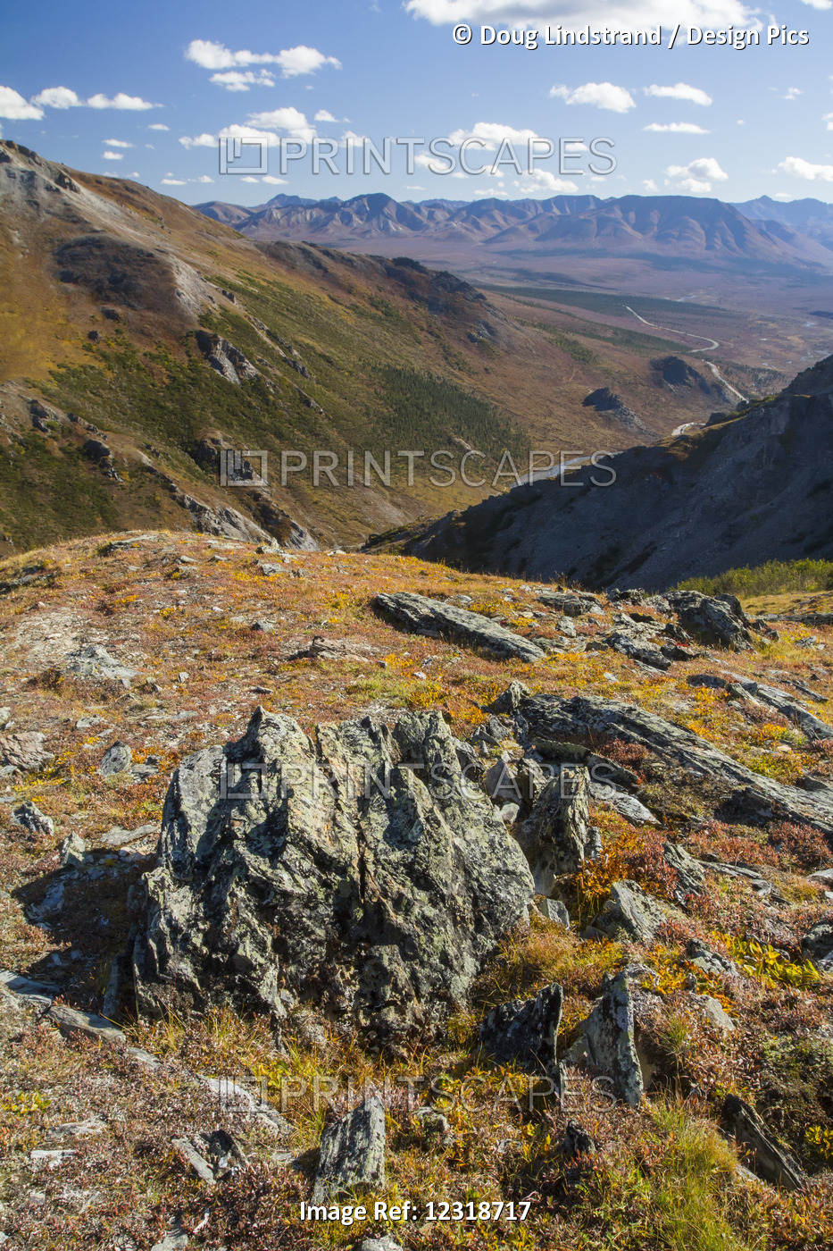 Landscape In The Rocky High Country, Denali National Park And Preserve, ...