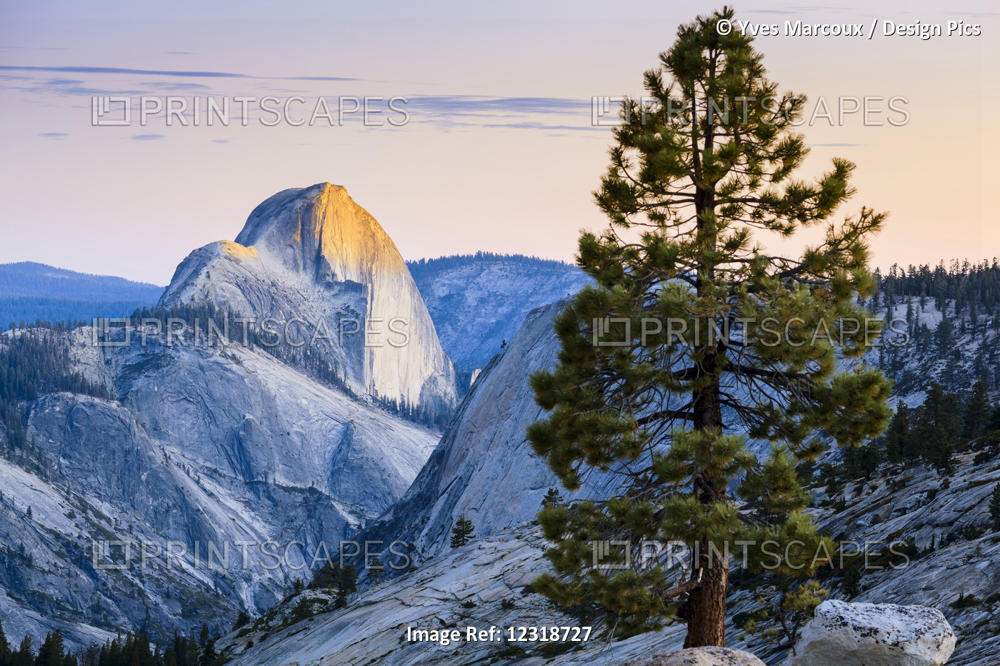 Half Dome Seen From Olmsted Point, Yosemite National Park; California, United ...