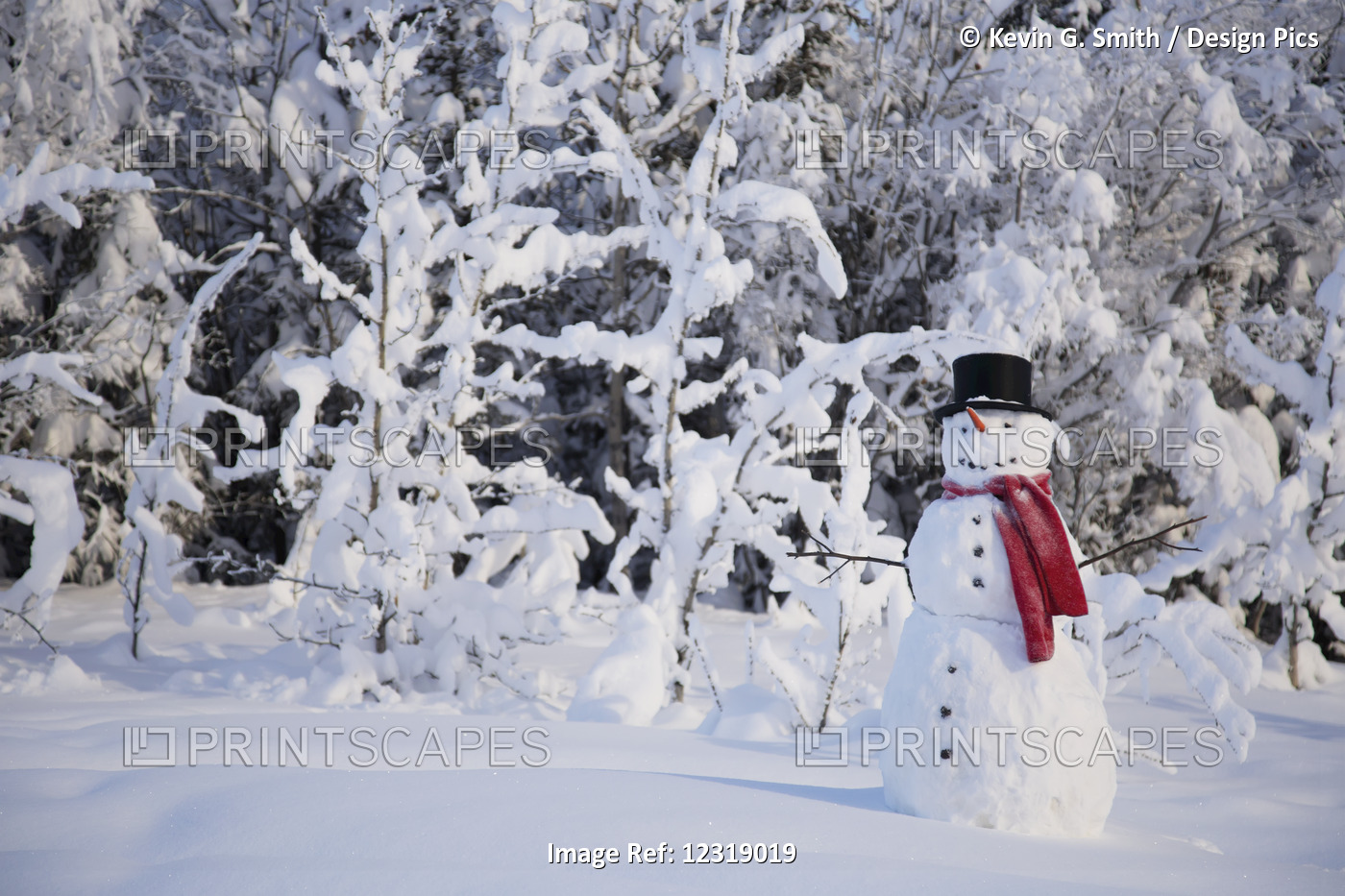 Snowman In Front Of A Snow Covered Forest And Brush, Copper Center, ...