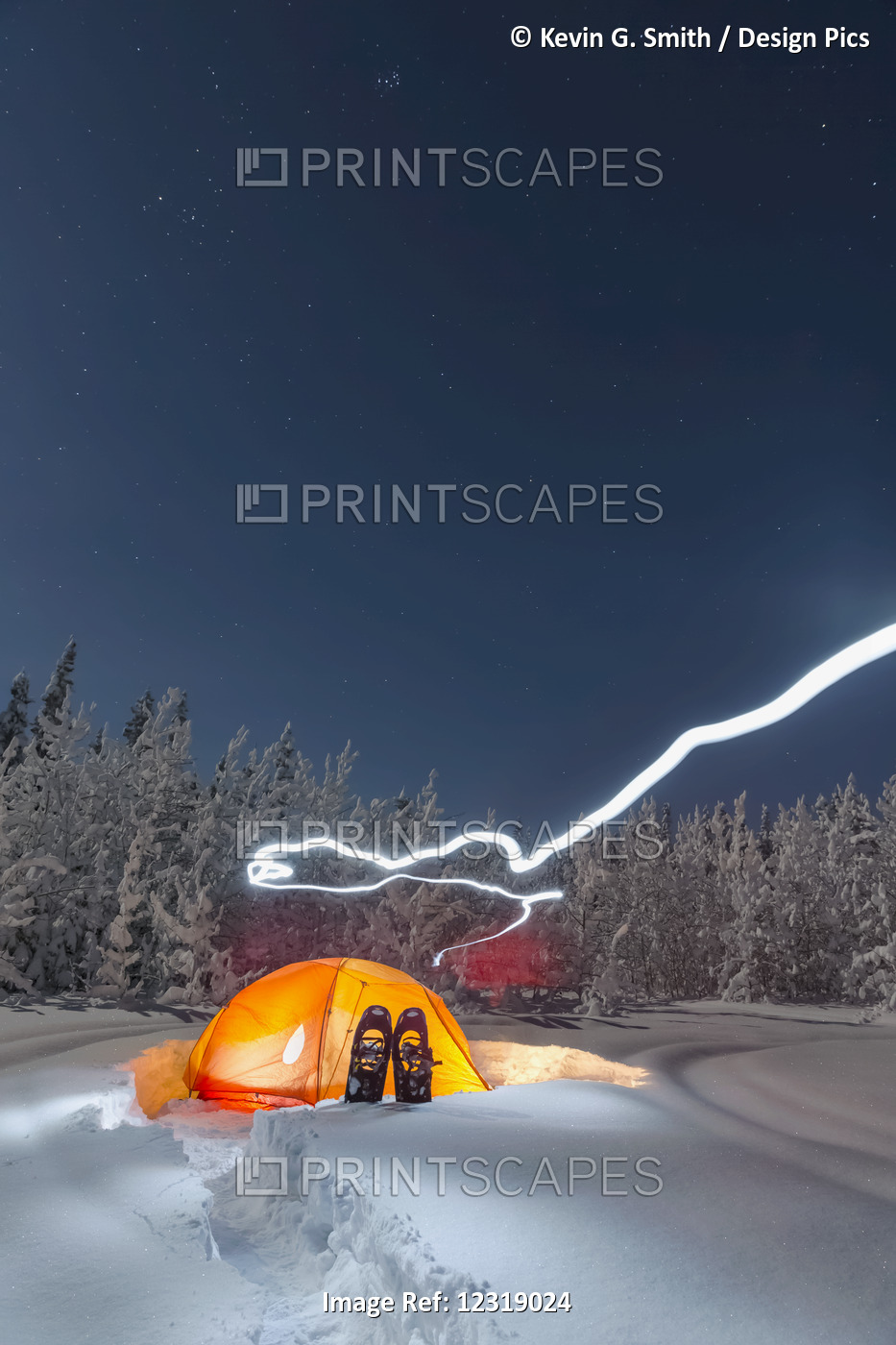 Lit Tent Near An Evergreen And Snow Covered Forest, Gakona, Southcentral ...