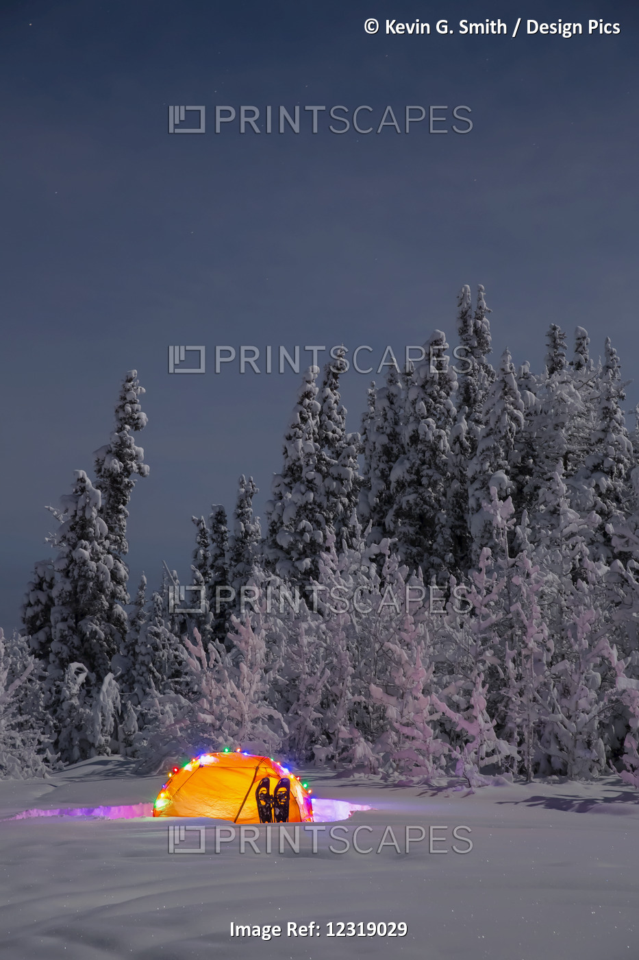 Moonlight Over A Lit Tent With Christmas Lights Near A Snow Covered Forest, ...