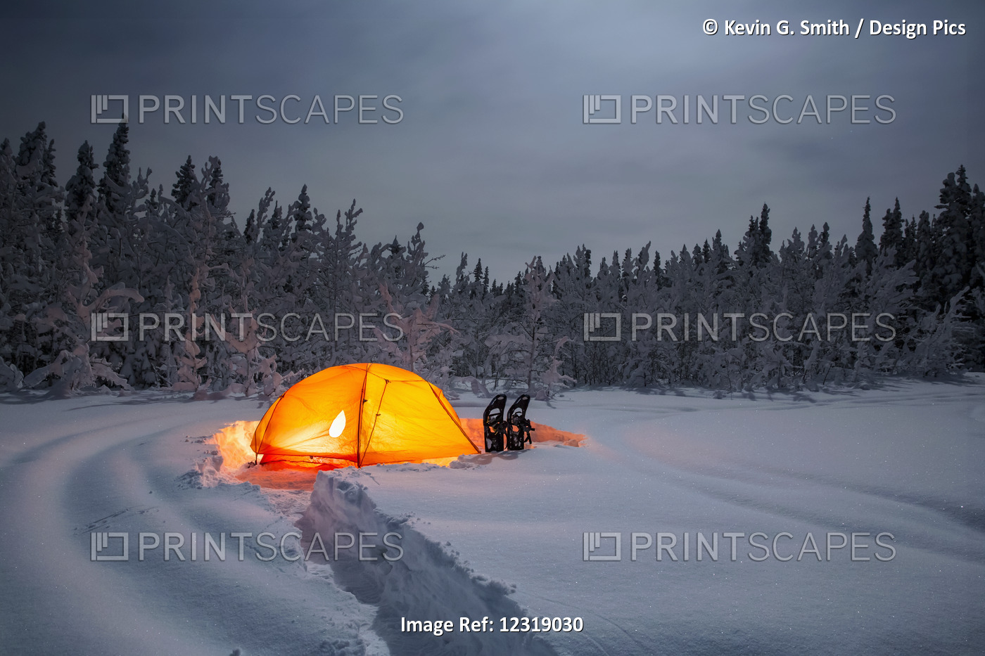Lit Tent In Deep Snow Near A Spruce Forest On A Moonlit Night, Copper River ...