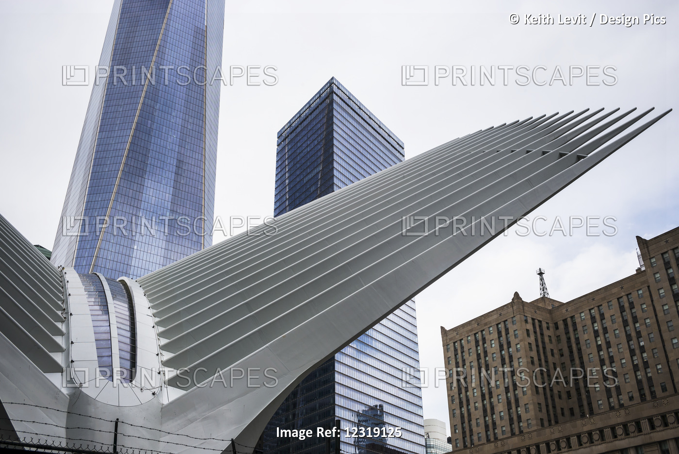 Modern Structure With White Prongs Like Wings, Skyscraper And One World Trade ...