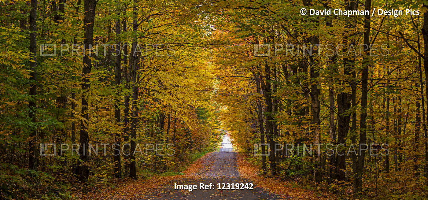 Panorama of country road in autumn
