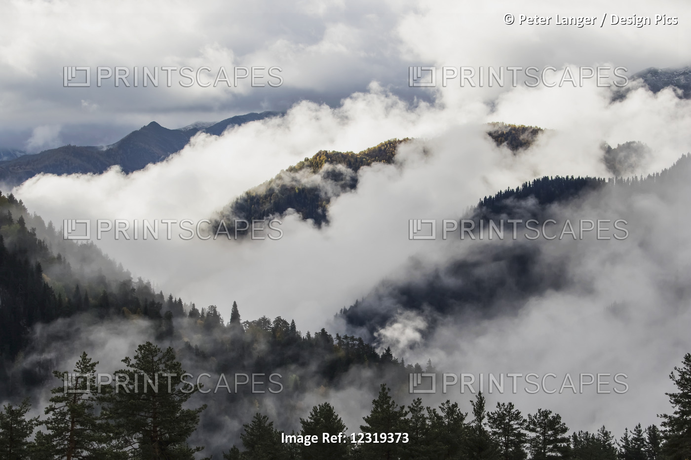 Clouds In The Forested Valleys Between Mestia And Ushguli, Upper Svaneti; ...