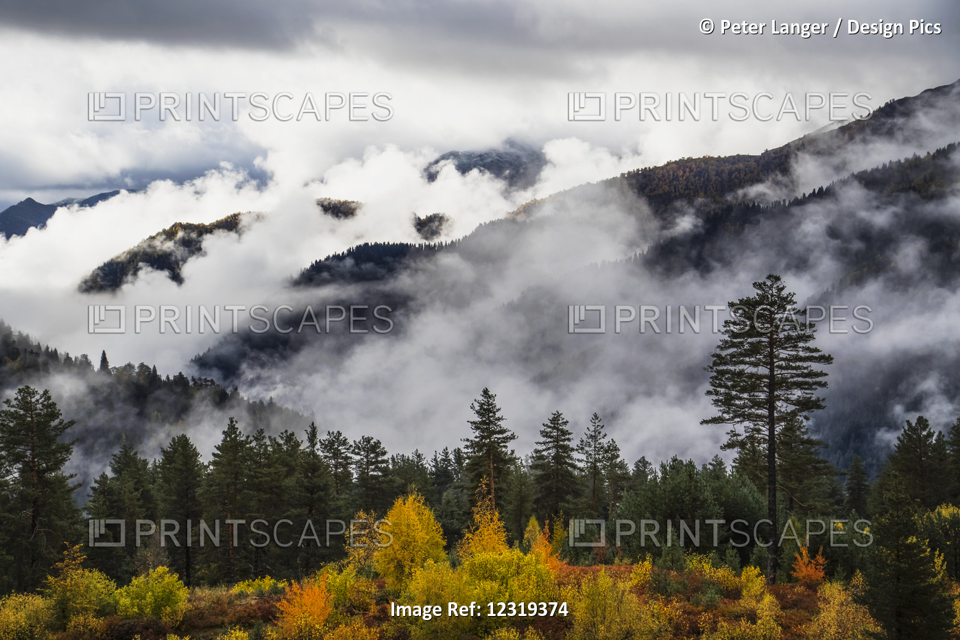 Clouds In The Forested Valleys Between Mestia And Ushguli, Upper Svaneti; ...