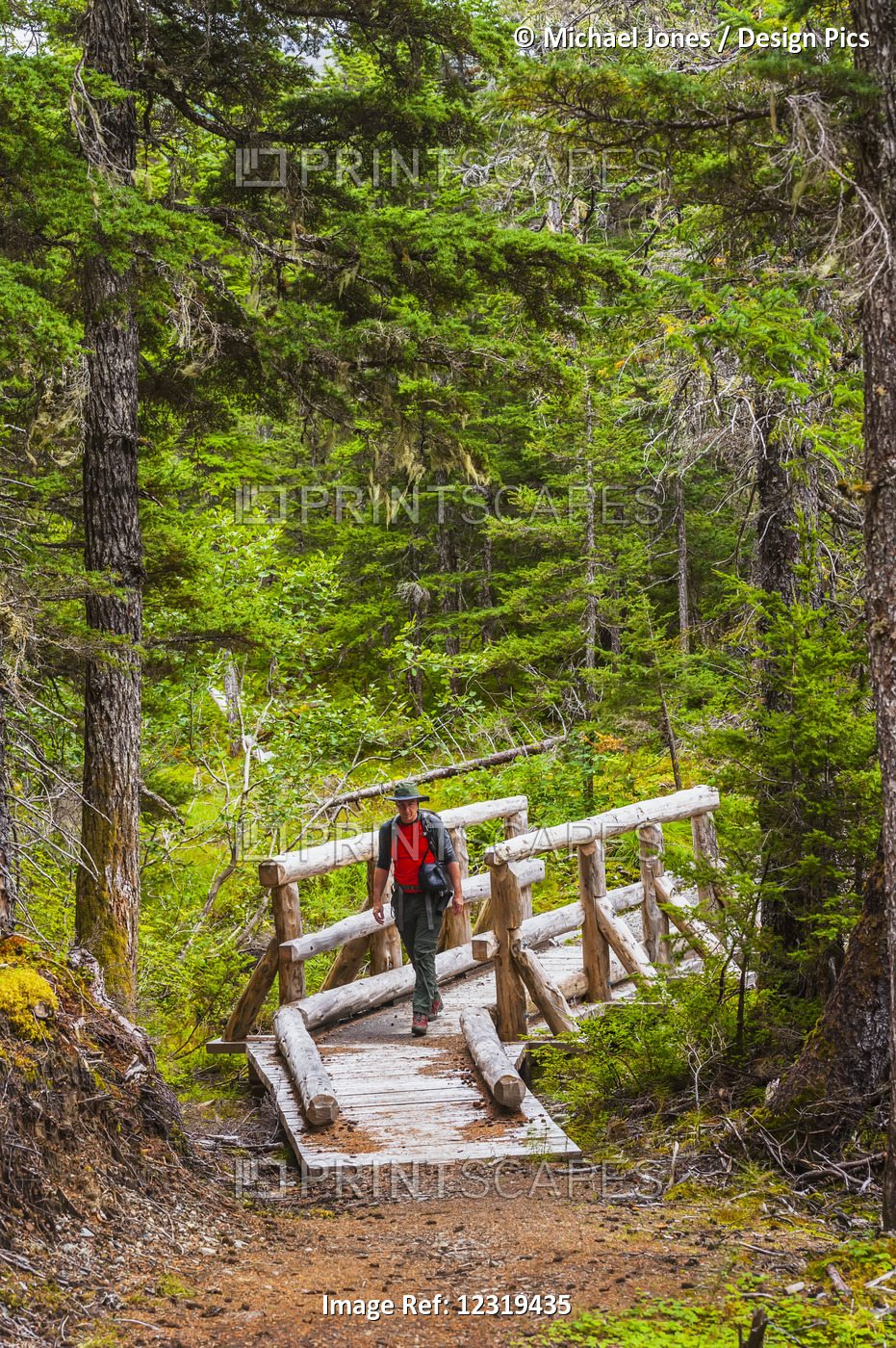 A Man Hiking Across A Log Bridge On The Turnagain Pass Trail In The Chugach ...
