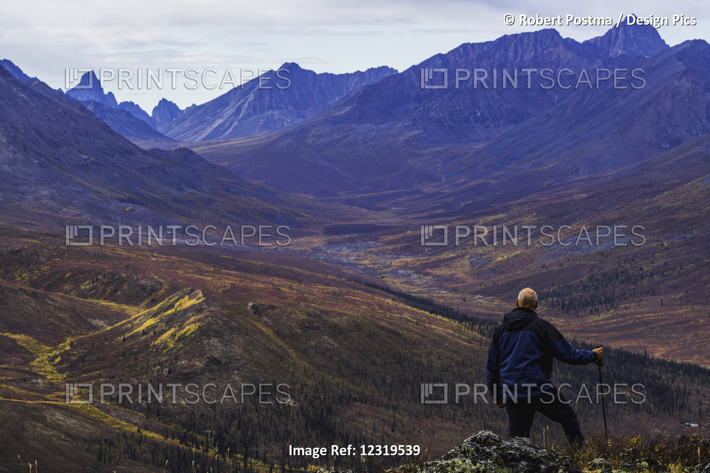 Man Standing On A Mountain Top Overlooking The Klondike Valley In Autumn; ...