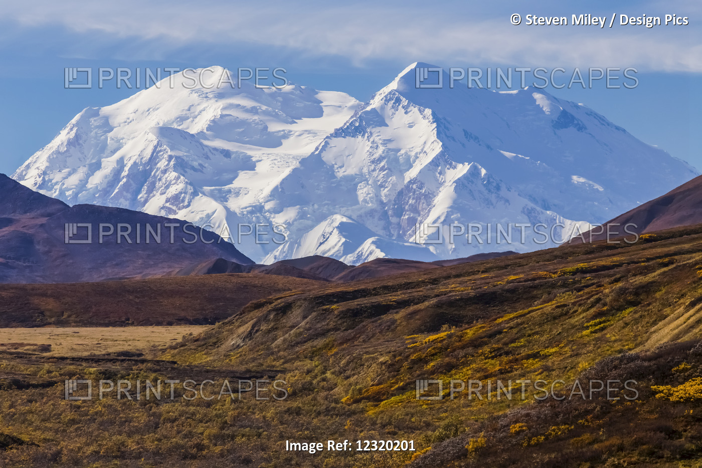 Denali Rises In The Distance, Viewed From Inside Denali National Park In ...
