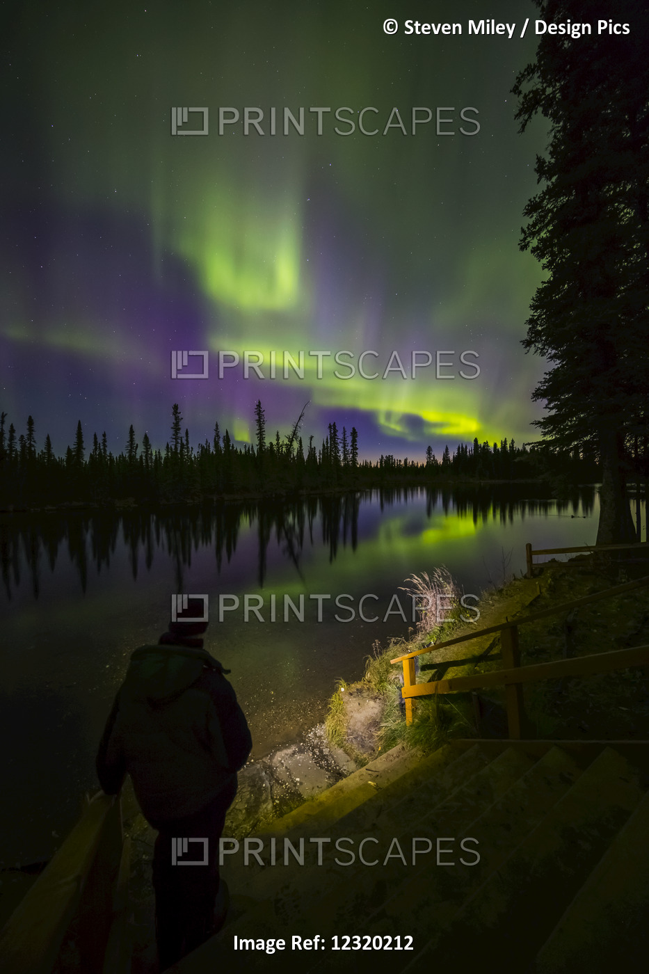 A Man Observes The Aurora Borealis From The Clearwater River State Recreation ...