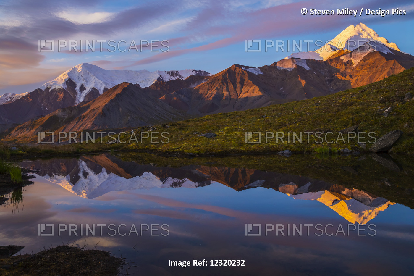 Mount Hayes Reflects In A Pond At Sunrise, Viewed From A Remote Area Near The ...