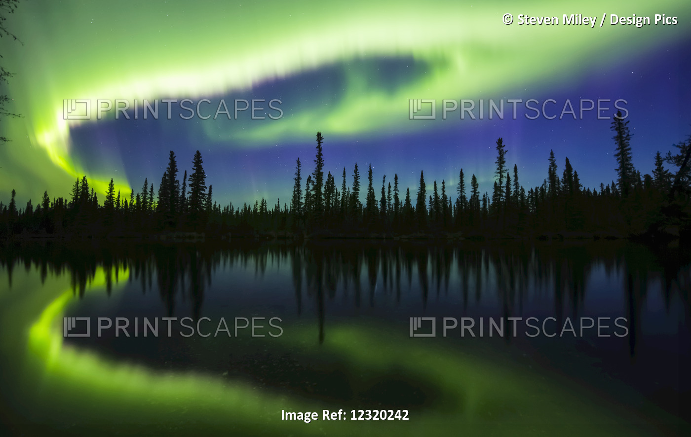 The Aurora Borealis Reflects In The Clearwater River In Delta Junction; Alaska, ...