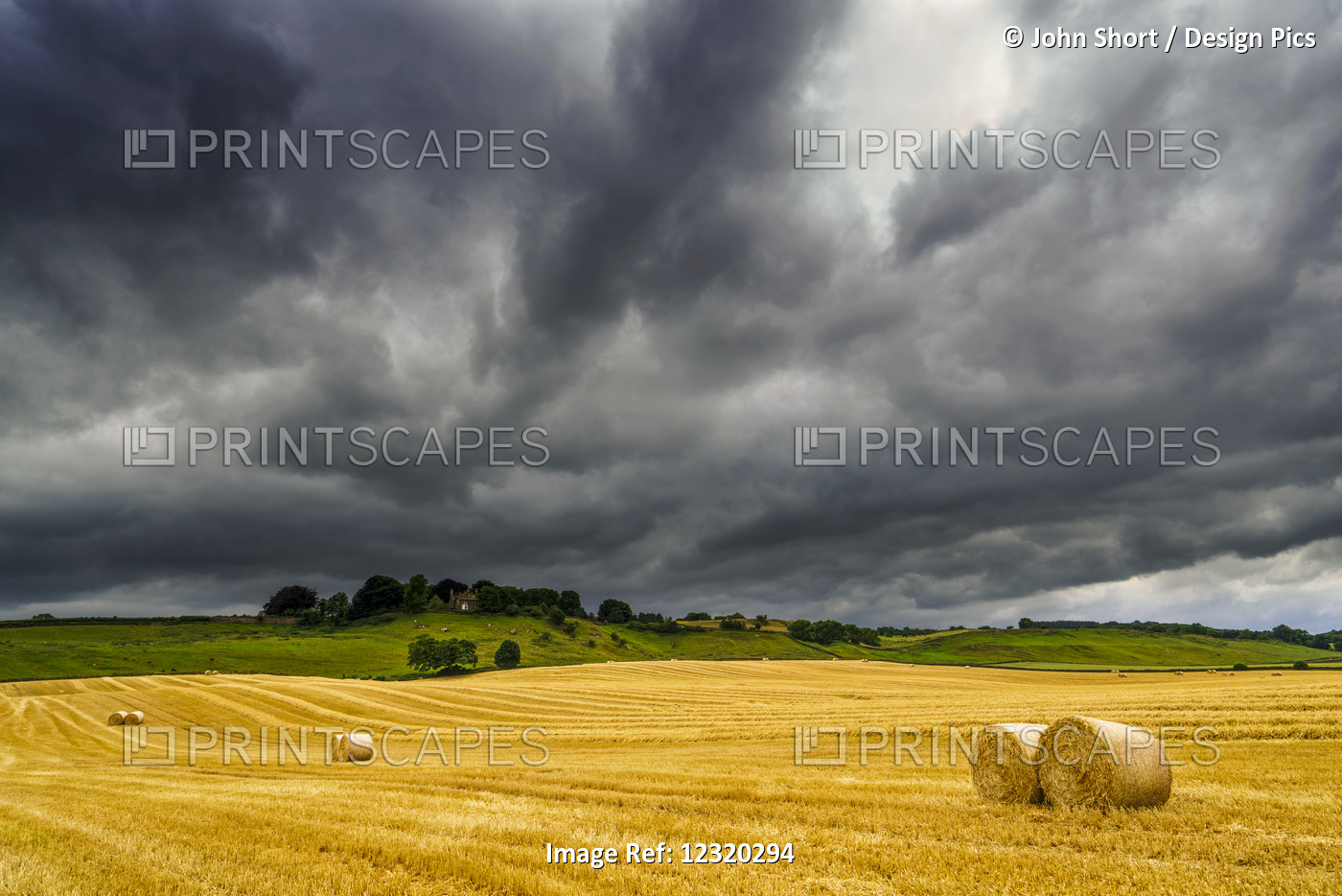 Dark Storm Clouds Roll Over A Golden Farm Field With Hay Bales; Ravensworth, ...