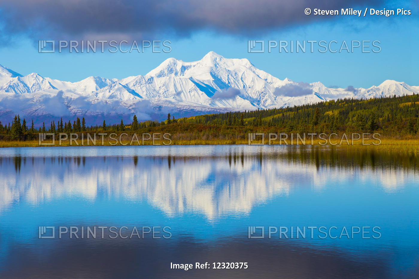 Mt. Hayes Reflects In Donnelly Lake In Autumn, South Of Delta Junction; Alaska, ...