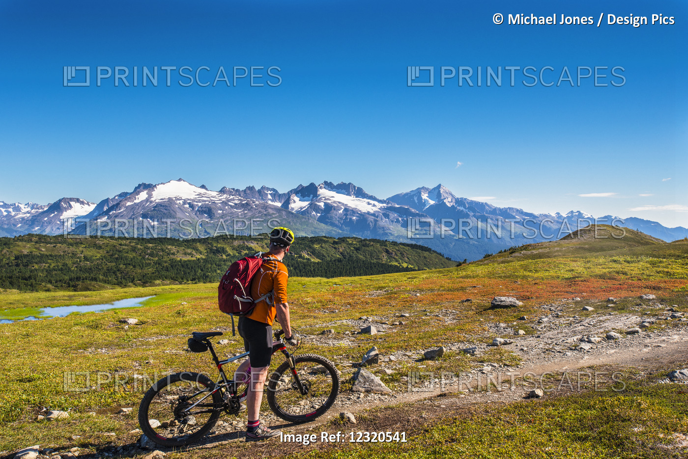 A Man Riding A Mountain Bike On The Lost Lake Trail Near Seward, Southcentral ...