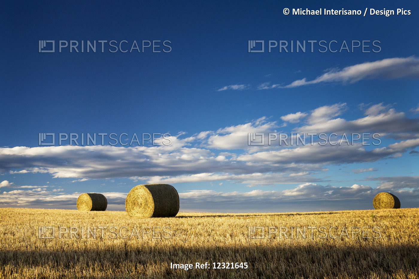 Hay Bales In A Clear Cut Field Highlighted By The Sun With Dramatic Clouds And ...