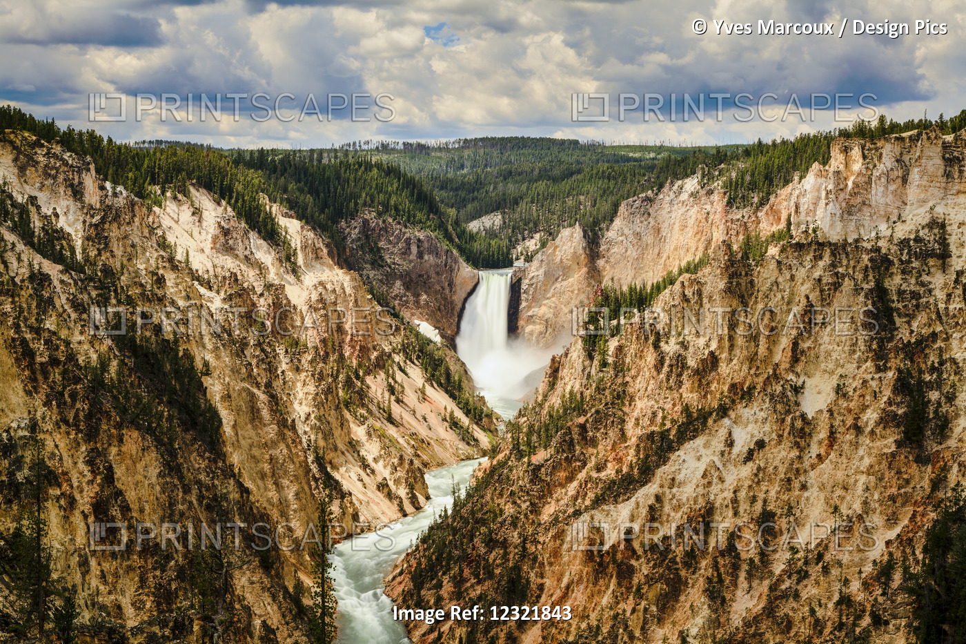 Grand Canyon And Lower Yellowstone Falls, Yellowstone National Park; Wyoming, ...
