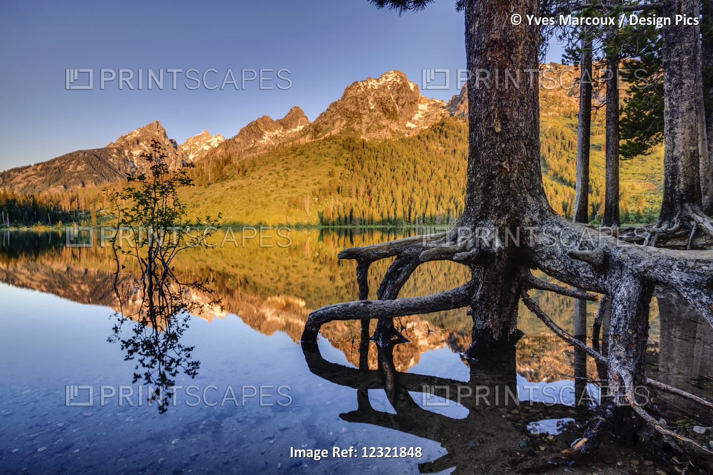 Teton Range And String Lake At Sunrise, Grand Teton National Park; Wyoming, ...