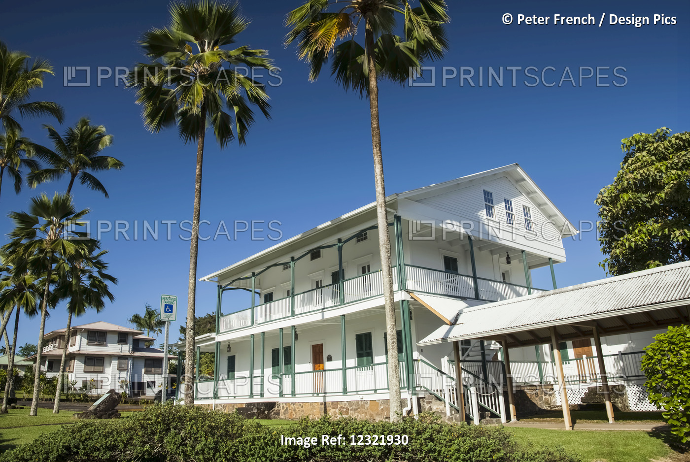 Royal Palms, Lyman Museum, Old And New Sections Of Lyman Museum, Downtown Hilo; ...
