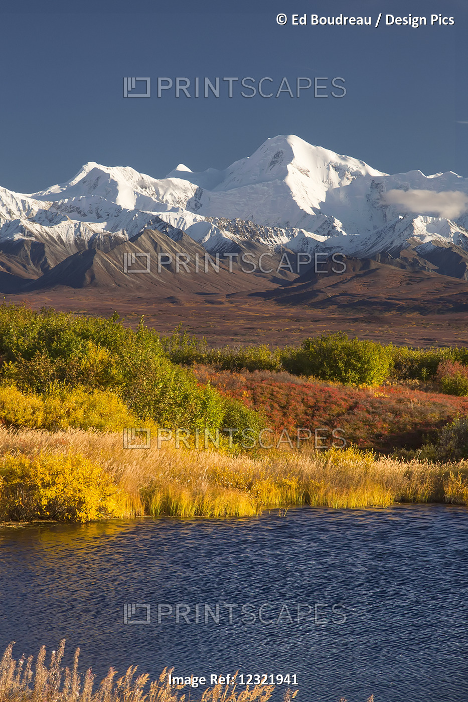 Denali National Park Road On A Beautiful Day In Autumn With The Foliage In ...