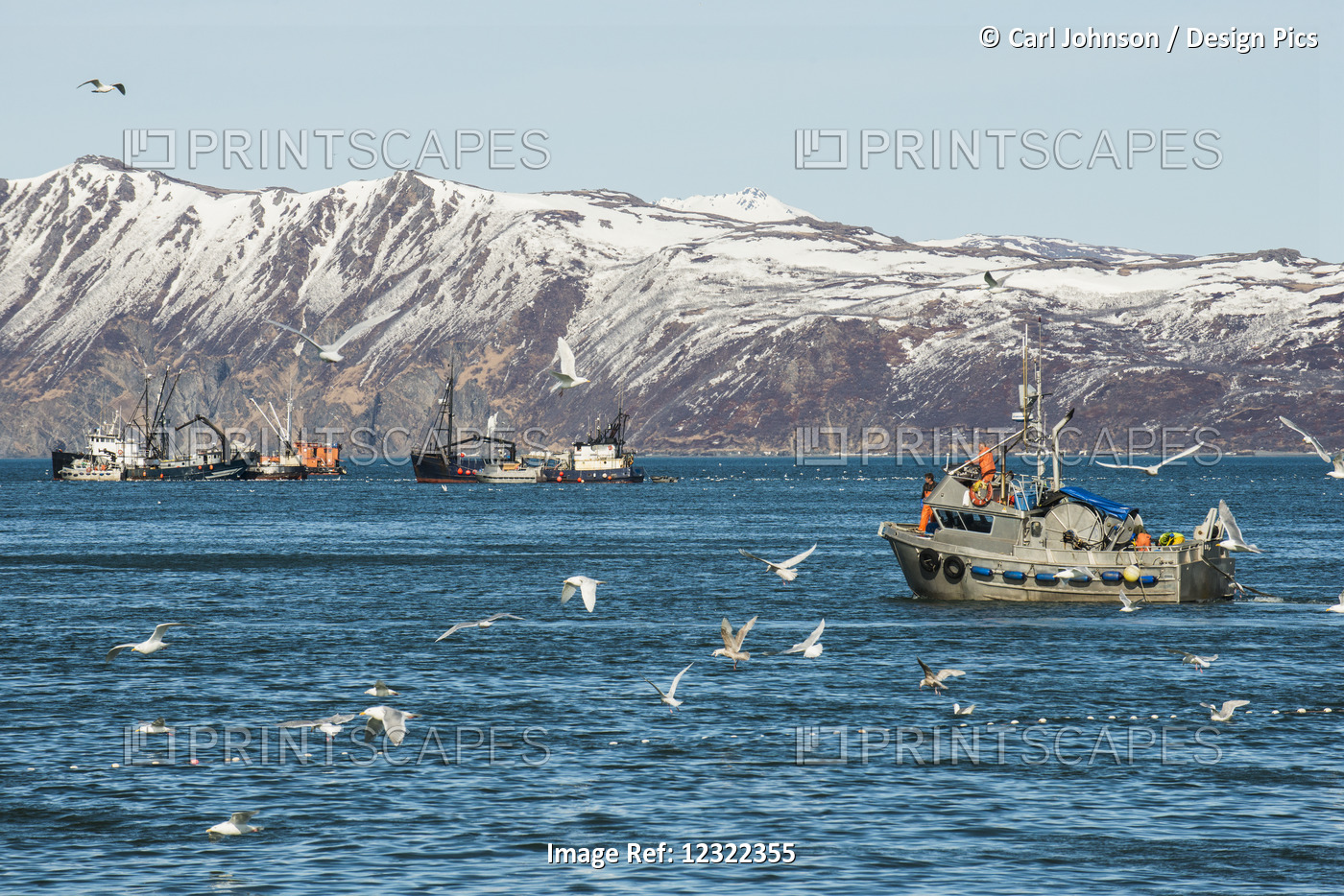Commercial Fishing Boats And Tenders In Bristol Bay, Southwest Alaska, USA