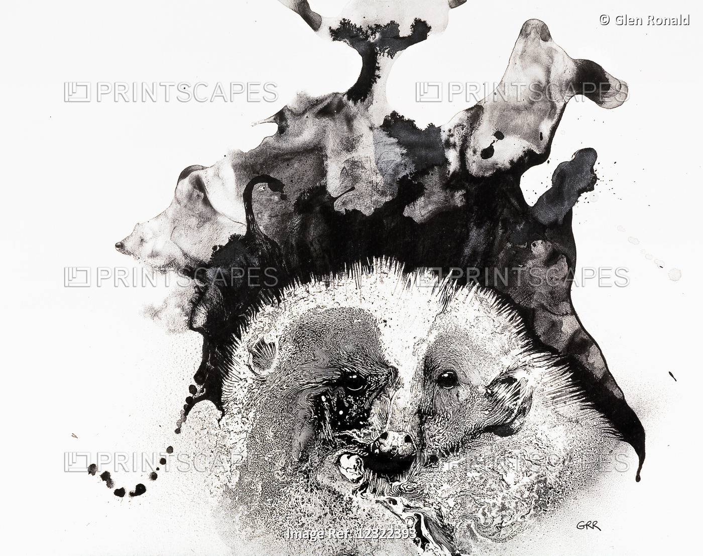 Cosmic Hedgehog, Black And White Artwork