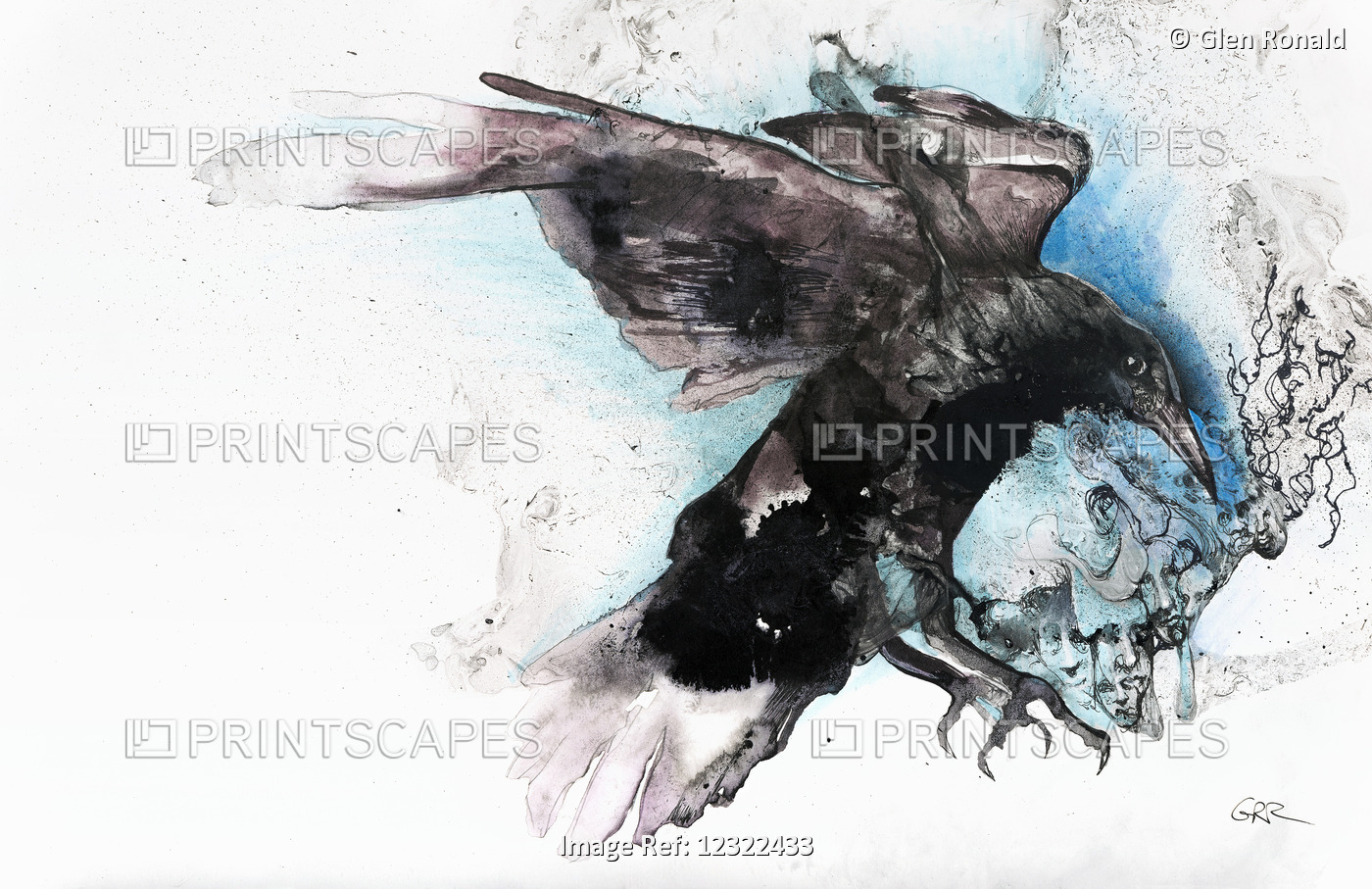 Black Bird, Colour Abstract Artwork