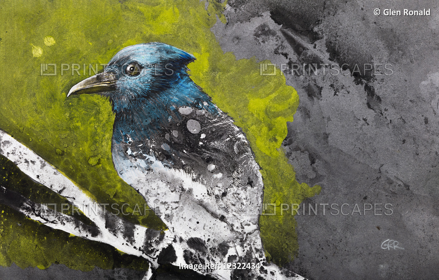 Bird Perched, Colour Artwork