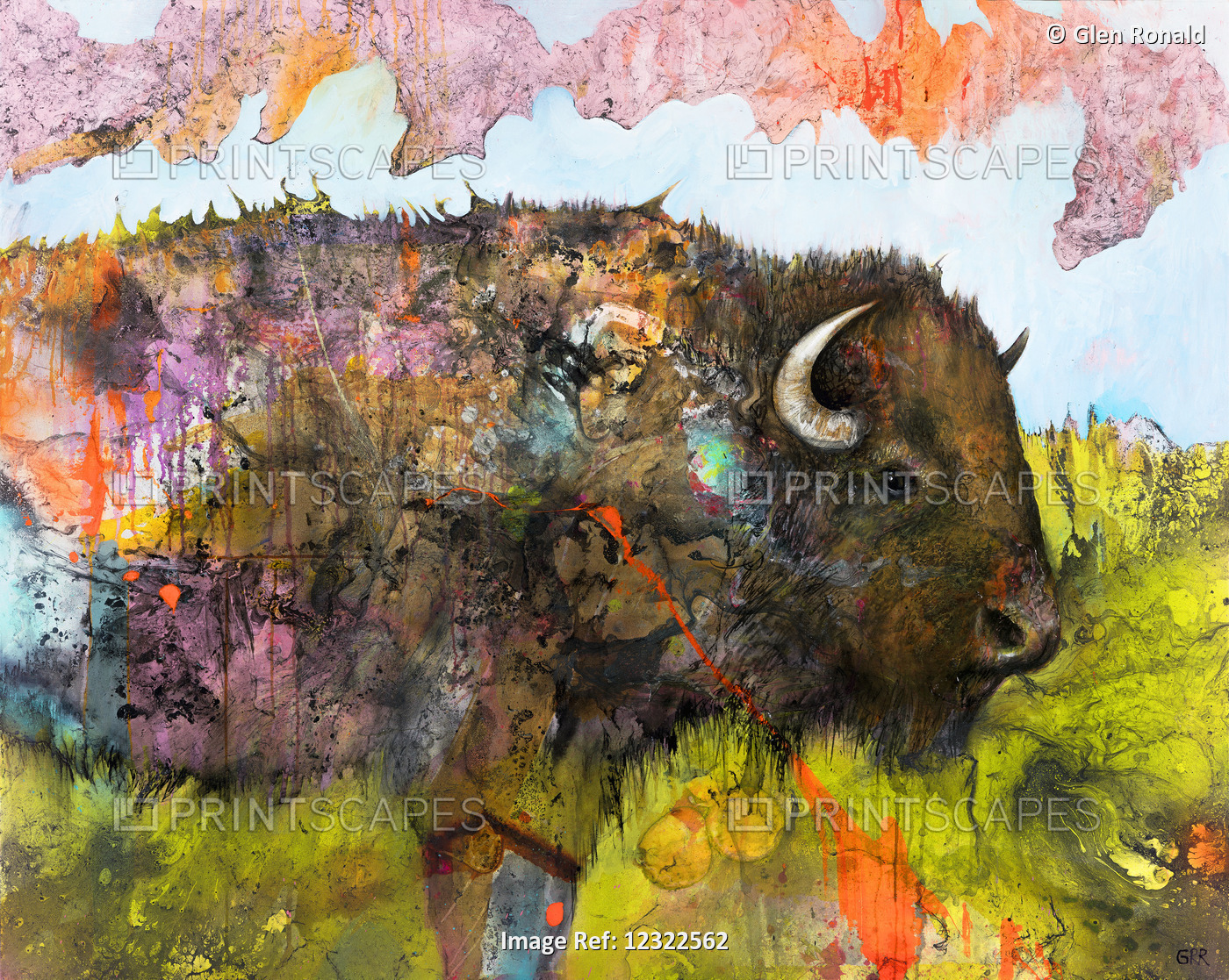 Bison In The Field, Colourful Artwork Of A Bison